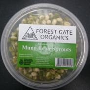 mung_beans.jpg